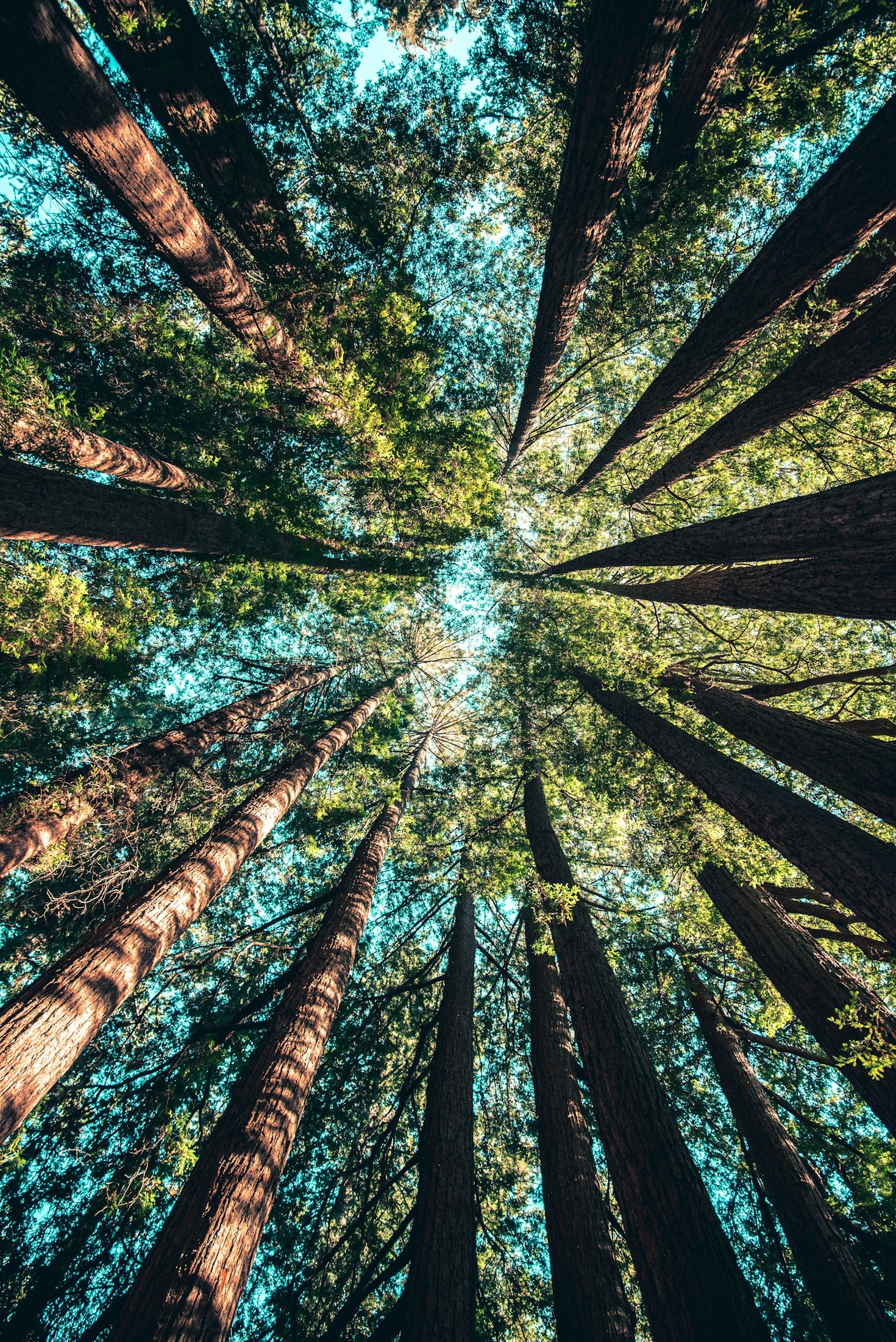Naturschutzprojekte in Bruchmühlen richtig umsetzen